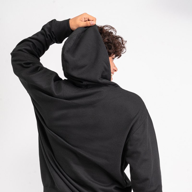 From behind, showing the three-panel hood
